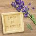 Flash All Purpose & Floor Cleaner Bundle: Traditional Collection Natural French Soap & Lavender 1L + Flash for Pet Lovers with Febreze Freshness 1L + for You: Organza Small Bag - Buy Online on GoSupps.com