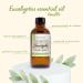 Eucalyptus Globulus 1/3 fl oz (10 ml) Glass Bottle 100% Pure Essential Oil GreenHealth - Buy Online on GoSupps.com