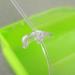 POPETPOP Caged Bird Bath for Small Birds - Hanging Bathtub Box for Canary, Parrot - White/Green - Buy Online on GoSupps.com