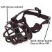 Jyhy Silicon Rubber Basket Muzzle for Dogs - Anti-Chewing Soft & Adjustable Safety Mask for Small to Medium Dogs (Black Size 6 #38-43cm) - Buy Online on GoSupps.com