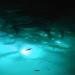 Goture 12V 10.8W White Blue Green LED Submersible Fishing Light | Fish Finder Lamp for Night Fishing | Freshwater Saltwater | 12m Cord - Buy Online on GoSupps.com
