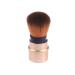 minkissy Makeup Professional Makeup Brush Blush Brush Powder Brush Cosmetics Brush Paint Rouge