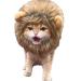 Lion Mane Wig for Cat - Pet Fancy Dress up Cat Wig with Ears Lion Mane Costume for Cat Washable Comfy Lion Hair Cat Clothes for Cosplay Holiday Photo Shoots Party Activity (Yellow L) L Yellow