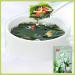 Korean Instant Seaweed Soup Chinese Help and Carrot Vegetable Soup Instant Brewed wakame Soup Healthy and Nutritious Breakfast Soup Delicious Seaweed Soup Convenient Soup (10 Bags)