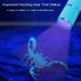Leagy 2-Pack Mini UV Flashlight - 9 LEDs Pet Urine Detector for Dogs & Cats Detects Stains Banknotes & Bed Bugs (Blue) - International Shipping Available - Buy Online on GoSupps.com