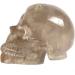 Natural Smokey Quartz Crystal Skull 2.40" h 0.61lbs Full of Texture Light Smokey - Buy Online on GoSupps.com