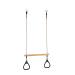 HUAWELL Wooden Trapeze with Plastic Gym Rings - Outdoor N Indoor Playground 2 in 1 Swing Set Accessories for Kids (Green).