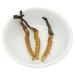 Akersunder Genuine Dried Cordyceps sinensis/winterworm summerherb Ophiocordyceps sinensis Tibet Featured (3 pcs) net Weight 1g.