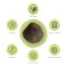 Buy Laxplum: Fermented Green Plum for Digestion - 90 Pieces | Perfect for Travel & Fasting - Buy Online on GoSupps.com