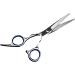 Hair Shears Hair Cutting Scissors Stainless Steel Professional Ergonomic Hair Trimming Shears Scissors for Home Barber Shop - Buy Online on GoSupps.com
