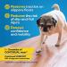Dr. Buzby's ToeGrips for Dogs - Medium - 20 grips - Buy Online on GoSupps.com