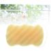 Angoily Sponges for Body Bathing Sponge Body Sponge Sponge Hair Clips for Thin Hair Cleansing Sponge Facial Sponge Natural Sponges Headpiece Holder Cleaning Supplies Face - Buy Online on GoSupps.com