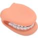 Mouth Hand Puppet - Educational Dental Care Model with Tongue for Children s Learning - Buy Online on GoSupps.com