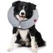 Ducomi Inflatable Dog & Cat Hinges - Post-Operation Relaxation & Comfort | Prevent Scratches & Bites - Available in Gray (Size S) - Buy Online on GoSupps.com