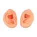 Ear Display Model Long Lasting Waterproof Soft Artificial Ear for Doctors for Centers