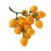 ABOOFAN Faux Fruit Decor Realistic Simulated Small Tomatoes Cherry Home Decor Fruit Home Ornament Party Decor Photography Props Home Supplies Foam Window Early Teaching Aids Yellow 4.00X2.00X2.00CM