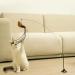 Fyfjur Interactive Cat Feather Toy with Suction Cup - Detachable Wand for Indoor Cats and Kittens - Buy Online on GoSupps.com