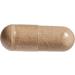 Natural Factors ResveratrolRich Super Strength Concentrate - 60 Vegan Capsules for Antioxidant Support - Buy Online on GoSupps.com