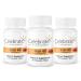 Celebrate Iron + C 60 mg chewable Berry - 90 Count 90 Count (Pack of 1)