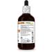 Myrrh Alcohol-Free Liquid Extract Organic Myrrh (Commiphora myrrha) Gum Resin Glycerite Natural Herbal Supplement Hawaii Pharm USA 4 fl.oz - Buy Online on GoSupps.com