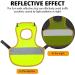 Reflective Chicken Hen Saddle Apron | Adjustable Strap | Protects Poultry Ducks Geese | Green - Buy Online on GoSupps.com