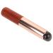 minkissy Silicone Lip Brush Portable Lip Brush Portable Lipstick Brush Lip Applicator for Lip Gloss Women Lip Brush Plastic Lipstick Applicator Lip Wands Makeup Brush Makeup Tool
