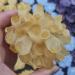 Natural Crystal Rough Specimen 1pcs300-700g Big Size Natural Citrine Quartz Geode Druzy Crystal ClusterSpecimen Home DecorationStone Crystal (Size : 600-700g) - Buy Online on GoSupps.com