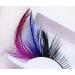 Dorisue Anime Red Blue Feather Eyelashes Purple Rainbow Show False Eyelash Fake Lashes Feather Lashes Makeup Party Halloween Cosplay Stage Eye Lash Cosmetic fake eyelashes (1 Pairs) - Buy Online on GoSupps.com
