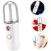 DOITOOL 1pc Spray Hydrating Apparatus Spa Face Steamer Facial Mister Nano Mist Sprayer Mini Face Humidifier Nanometer Sprayer Mini Hydration Sprayer Beauty Instrument Handheld Abs White - Buy Online on GoSupps.com