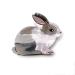 Cute Grey Bunny Hair Clips Cellulose Acetate Hair Clips Small Hair Clips for Girl Hair Accessories Pack of 2 S0