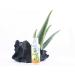 Aloe Vera Gel. Skin care. Body Lotion Body Milk ((77% Jugo puro Aloe Vera) con aceite de Coco Salvia y Melisa. Pure organic aloe vera gel. (3.4 Oz) 3.4 Fl Oz (Pack of 1)