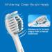 16-Pack Philips Sonicare Compatible Whitening Clean Replacement Brush Heads - 8 White & 8 Black - Buy Online on GoSupps.com