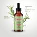 Mielle Rosemary Mint Scalp & Hair Strengthening Oil - 2 fl oz | Biotin & Essential Oils Treatment - Buy Online on GoSupps.com