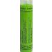 Hamamelis Virginiana 200K Homeopathy Medicine Schmidt-Nagel Canada (Homeodel) 90 pellets/granules - Buy Online on GoSupps.com