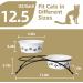 Sweejar Ceramic Elevated Cat Bowls - 15 Tilted Raised Pet Bowl with Wooden Stand - Pack of 2 Yellow Bowls 12 Fl Oz - Non-Slip Design for Small Dogs and Cats - Buy Online on GoSupps.com