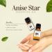 Anise Star Essential Oil - 8 fl oz (237 ml) Aluminum Bottle w/Plug and Cap - 100% Pure Essential Oil - GreenHealth - Buy Online on GoSupps.com
