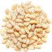YUPIK PINE NUTS 1KG - Buy Online on GoSupps.com