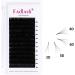 Fadlash Easy Fan Lashes D Curl 0.05 13mm - Natural Look Self Fanning Russian Eyelash Extensions - Buy Online on GoSupps.com