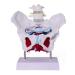 Removable Parts Female Pelvis Model with Organs Scientific Anatomy Model Female Pelvis with Pelvic Floor Muscles and Reproductive Organs Pelvic Model Female with Muscles