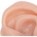 Display Ear Model Reusable Simulated Silicone Practice Ear Model Portable Elastic for Jewelry Store for Beginner(Right) - Buy Online on GoSupps.com