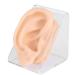 Soft silicone ear model fake ear display example simulation ear acupuncture exercise model for hospital display piercing and acupuncture study practice