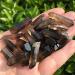Natural Smoky Quartz Crystal Point Stone Raw Gemstone Rough Specimen Minerals Stone Home Decoration - Buy Online on GoSupps.com