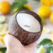 Buy Coconut Shell Candle - Scented Soy Essential Oil Eco-Friendly Wood Wick Natural Coconut Scent - International Shipping - Buy Online on GoSupps.com