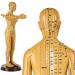 Human Female Acupuncture Anatomical Model with Acupuncture Points Bronze Color 50Cm