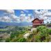 Java Kayumas Green Coffee Beans - 500g | Highland Raw Coffee Beans - Buy Online on GoSupps.com
