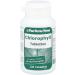 Chlorophyll Vegan Fresh Breath Tablets - 120 pcs | Natural Oral Care & Detox - Buy Online on GoSupps.com