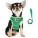 Femax Dog Harness & Linen Set - Soft Mesh Padded for Puppies & Cats | Reflective Adjustable Breathable - XS (26-29 cm) - Perfect for Walking Running Training - Buy Online on GoSupps.com