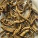 JEVR Nirgand Nirgundi Root Vitex Negundo Dried Root 400 g - Buy Online on GoSupps.com