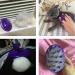 Soft Dual Rubber Pins CeleMoon Cat Brush | Silicone Washable Grooming Shedding Massage Bath Pet Brushes | Safe & Gentle | Removes Hair Mats, Tangles, and Loose Fur | For Short to Long Hair Indoor Cat Kitten - Buy Online on GoSupps.com