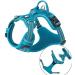 Truelove No Pull Dog Harness - Reflective Adjustable Soft Padded Vest with Handle - TLH56512 S Blue - Buy Online on GoSupps.com